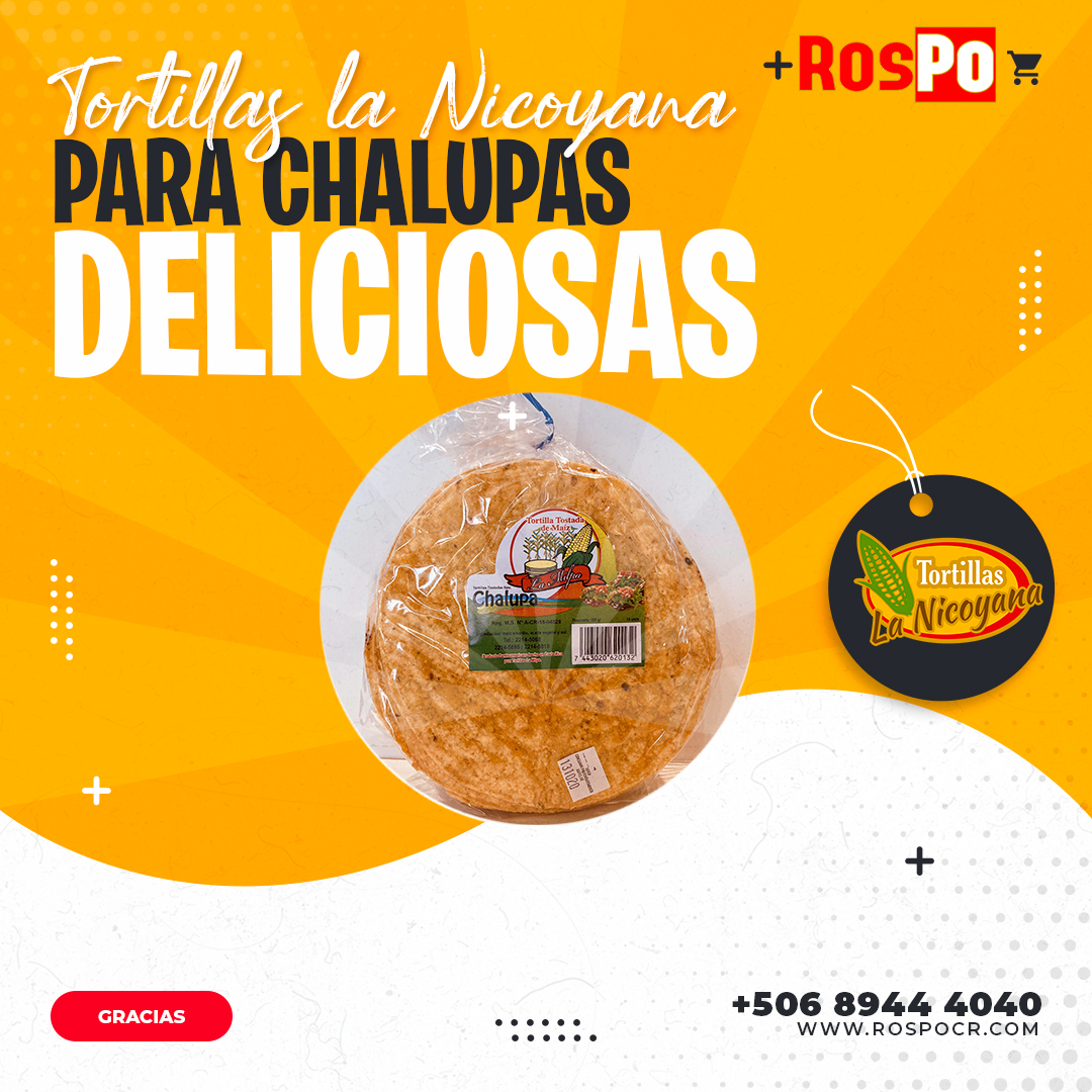 Precocida 2