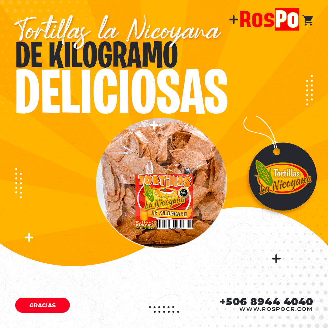 Precocida 2